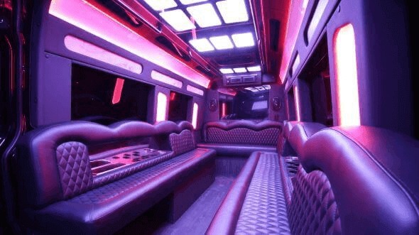newport news 15 passenger party bus interior