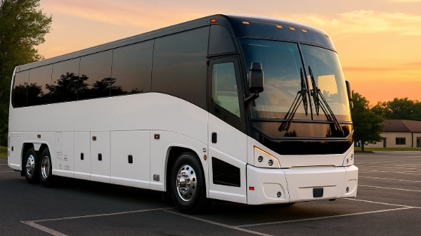 reston bachelor and bachelorette party bus rentals